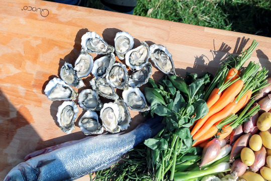 Quoco-Piato-Tavolo-02-žari-na-les-in-oglje-kurišča-kurišča-naterassi